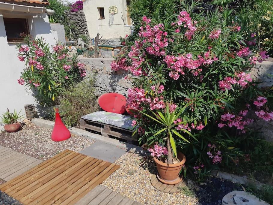 Haut De Villa Au Mont St Clair Vue Exceptionnelle Mer Et Foret Terrasses, Piscine, Petanque, Solarium Prives Sète Zewnętrze zdjęcie