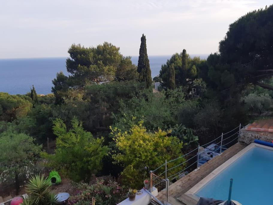 Haut De Villa Au Mont St Clair Vue Exceptionnelle Mer Et Foret Terrasses, Piscine, Petanque, Solarium Prives Sète Zewnętrze zdjęcie