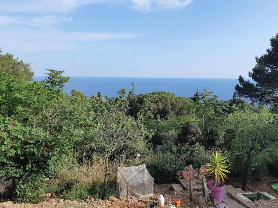 Haut De Villa Au Mont St Clair Vue Exceptionnelle Mer Et Foret Terrasses, Piscine, Petanque, Solarium Prives Sète Zewnętrze zdjęcie